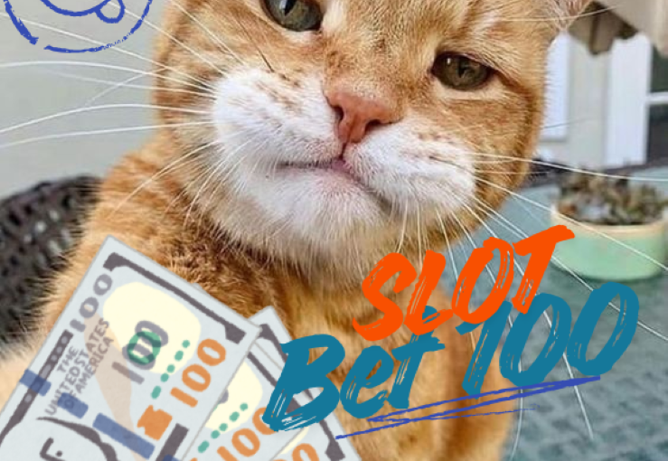 Slot Bet 100 dengan Pola Main Efektif dan Mudah Dipahami